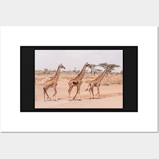 Serengeti Giraffe #11 Posters and Art